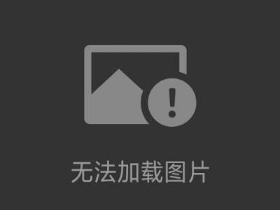 Palas粒徑譜