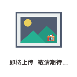 DIS-1A型數控多功能消解儀　消解儀價格　消解儀